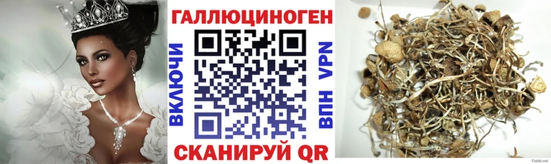 Псилоцибиновые грибы мухоморы  Салаир 