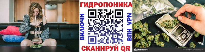 МАРИХУАНА конопля  ОМГ ОМГ   Салаир 
